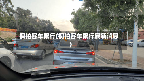 桐柏客车限行(桐柏客车限行最新消息)-第2张图片