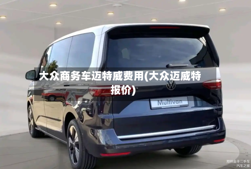 大众商务车迈特威费用(大众迈威特报价)-第2张图片