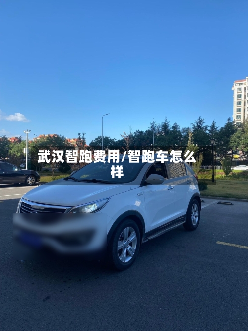 武汉智跑费用/智跑车怎么样