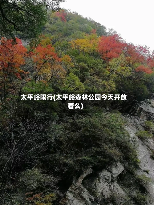 太平峪限行(太平峪森林公园今天开放着么)-第2张图片