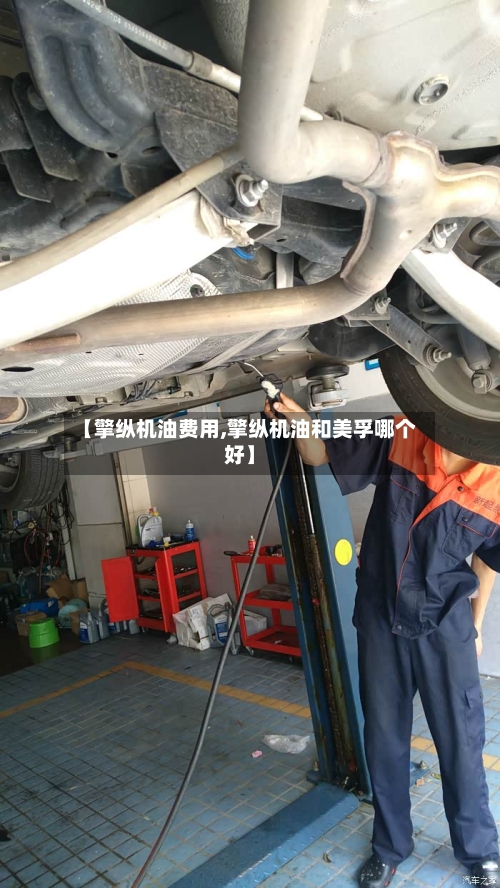 【擎纵机油费用,擎纵机油和美孚哪个好】-第2张图片