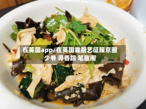 在英国app/在英国靠厨艺征服京圈少爷 寻香踪 笔趣阁-第2张图片
