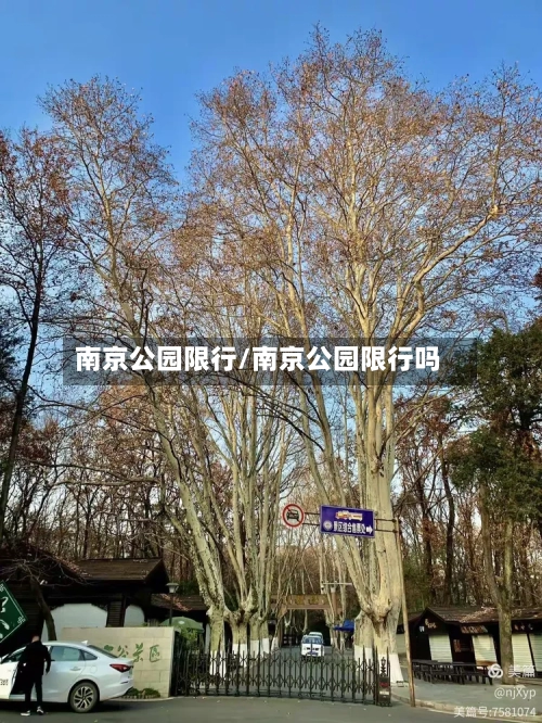 南京公园限行/南京公园限行吗-第3张图片