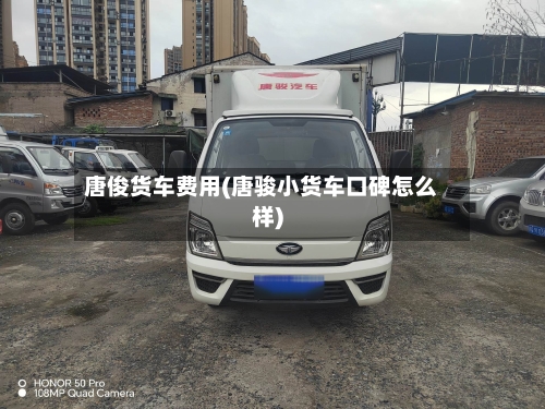 唐俊货车费用(唐骏小货车口碑怎么样)