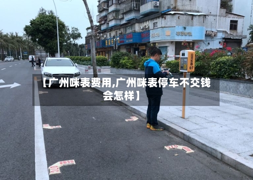【广州咪表费用,广州咪表停车不交钱会怎样】-第2张图片