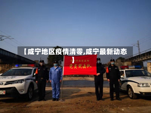 【咸宁地区疫情清零,咸宁最新动态】-第2张图片