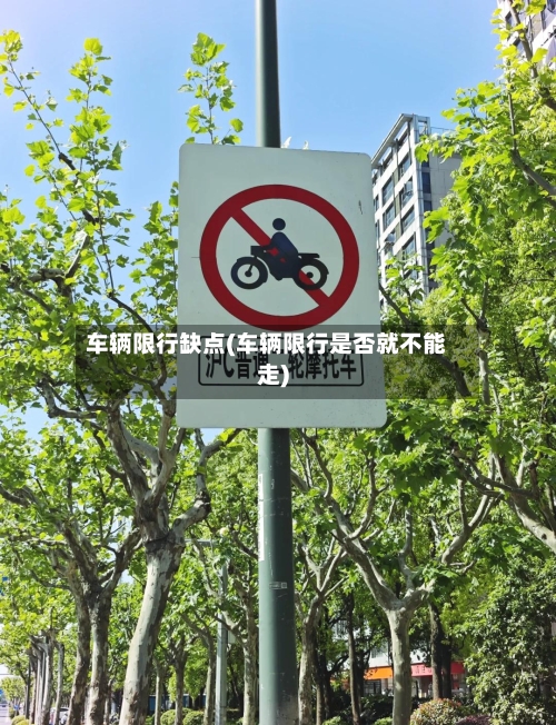 车辆限行缺点(车辆限行是否就不能走)-第3张图片