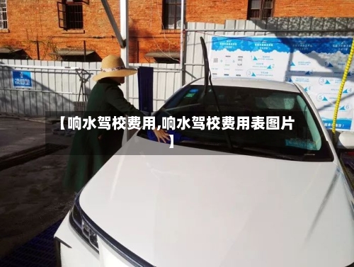 【响水驾校费用,响水驾校费用表图片】