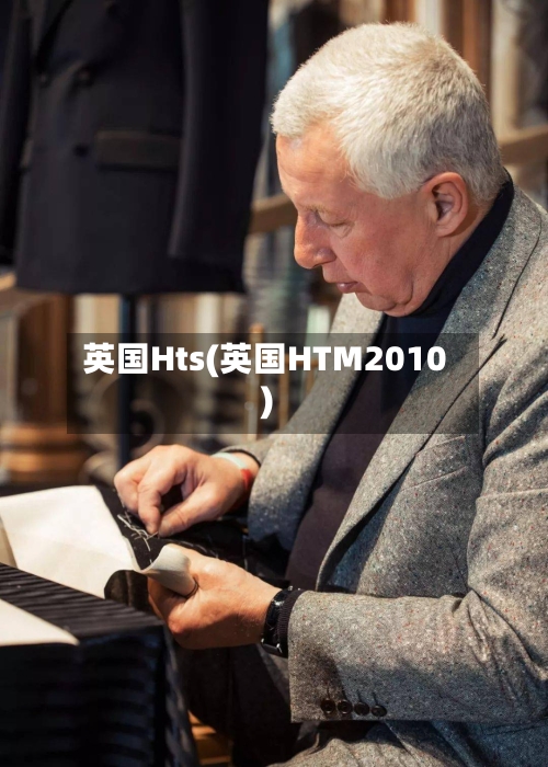 英国Hts(英国HTM2010)-第3张图片