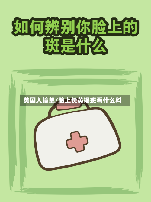 英国入境单/脸上长黄褐斑看什么科