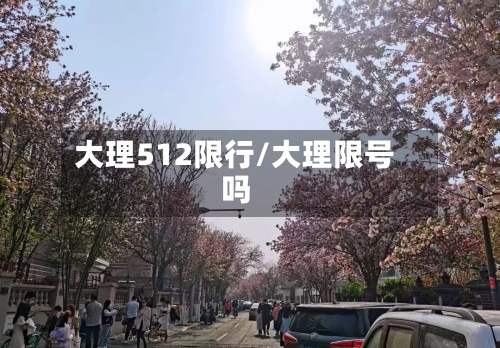 大理512限行/大理限号吗