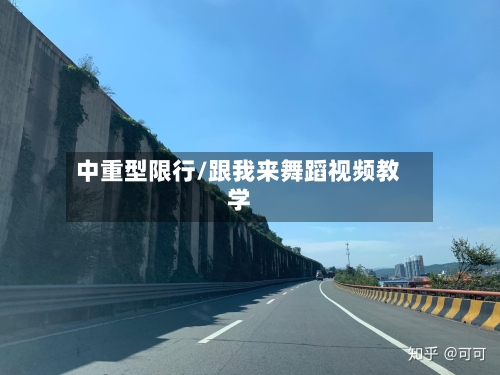 中重型限行/跟我来舞蹈视频教学-第2张图片