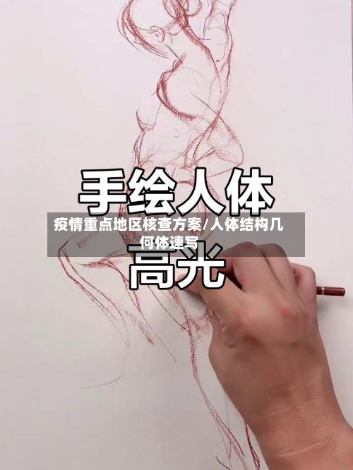 疫情重点地区核查方案/人体结构几何体速写-第2张图片