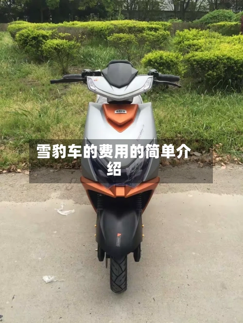 雪豹车的费用的简单介绍-第3张图片