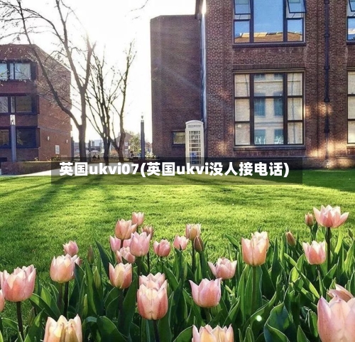 英国ukvi07(英国ukvi没人接电话)-第2张图片