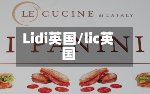 Lidi英国/lic英国-第2张图片