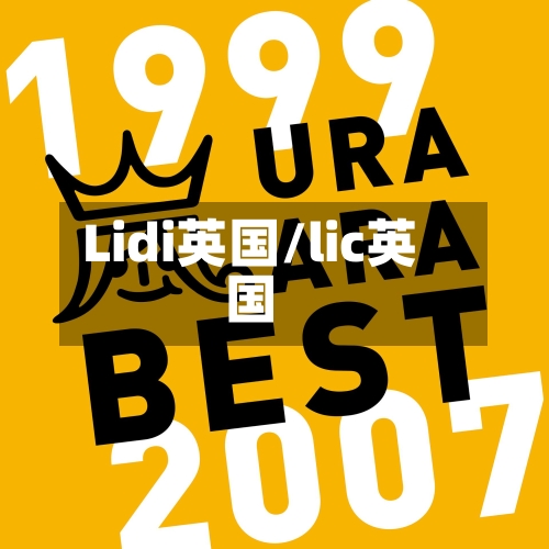 Lidi英国/lic英国-第3张图片