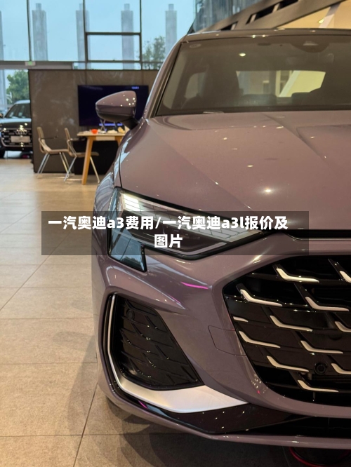 一汽奥迪a3费用/一汽奥迪a3l报价及图片