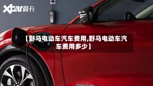 【野马电动车汽车费用,野马电动车汽车费用多少】-第2张图片