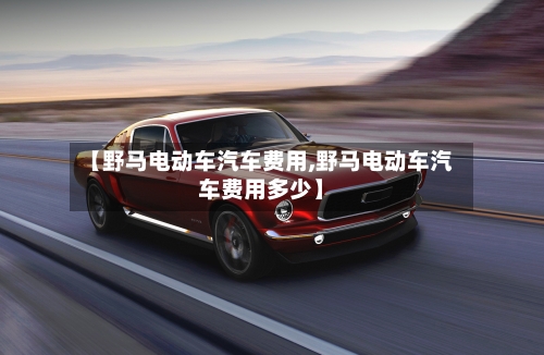 【野马电动车汽车费用,野马电动车汽车费用多少】
