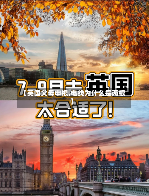 【英国父母申根,电线为什么是两根】-第2张图片