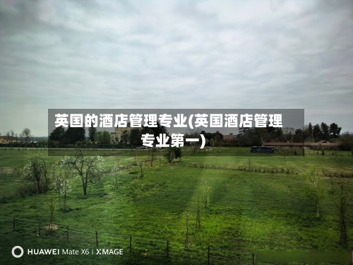 英国的酒店管理专业(英国酒店管理专业第一)