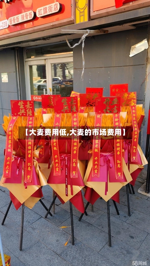 【大麦费用低,大麦的市场费用】-第2张图片