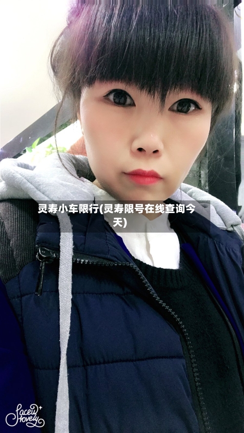 灵寿小车限行(灵寿限号在线查询今天)-第2张图片