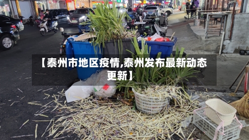 【泰州市地区疫情,泰州发布最新动态更新】-第2张图片