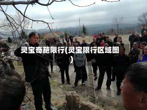 灵宝奇葩限行(灵宝限行区域图)-第2张图片