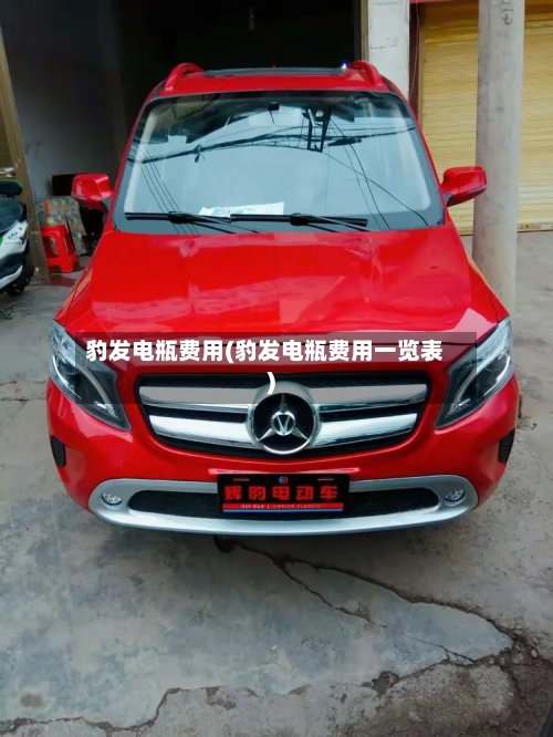 豹发电瓶费用(豹发电瓶费用一览表)-第2张图片