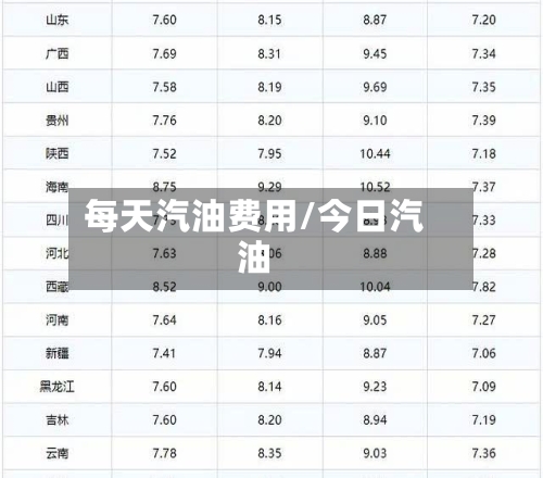 每天汽油费用/今日汽油