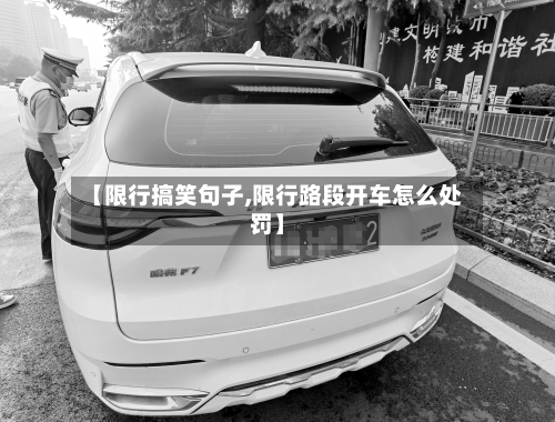【限行搞笑句子,限行路段开车怎么处罚】