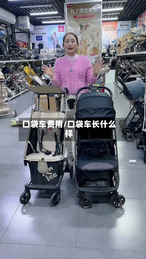 口袋车费用/口袋车长什么样-第2张图片
