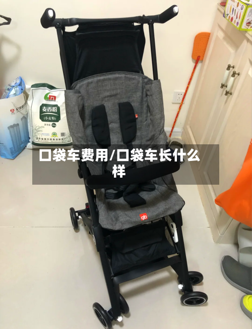 口袋车费用/口袋车长什么样