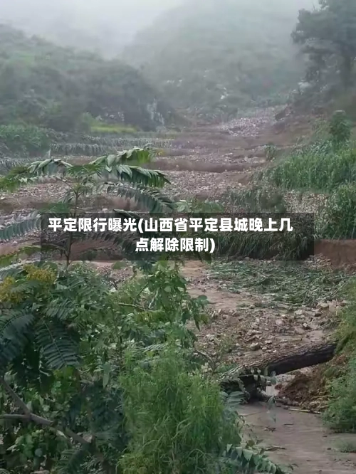 平定限行曝光(山西省平定县城晚上几点解除限制)-第2张图片