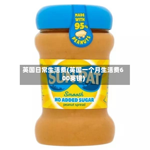 英国日常生活费(英国一个月生活费600英镑)
