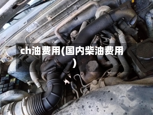 ch油费用(国内柴油费用)-第3张图片