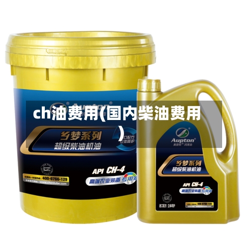 ch油费用(国内柴油费用)-第2张图片