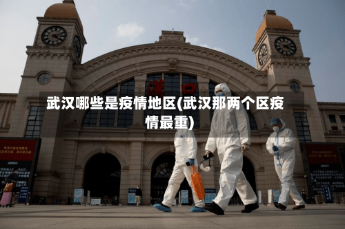 武汉哪些是疫情地区(武汉那两个区疫情最重)-第2张图片