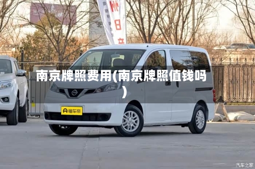 南京牌照费用(南京牌照值钱吗)-第2张图片