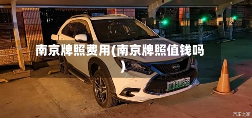 南京牌照费用(南京牌照值钱吗)-第3张图片