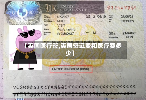 【英国医疗签,英国签证费和医疗费多少】
