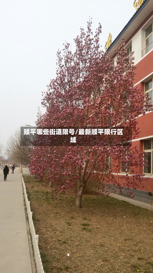 顺平哪些街道限号/最新顺平限行区域-第2张图片