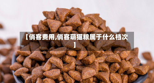 【俏客费用,俏客萌猫粮属于什么档次】