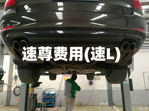 速尊费用(速L)
