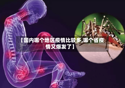 【国内哪个地区疫情比较多,哪个省疫情又爆发了】