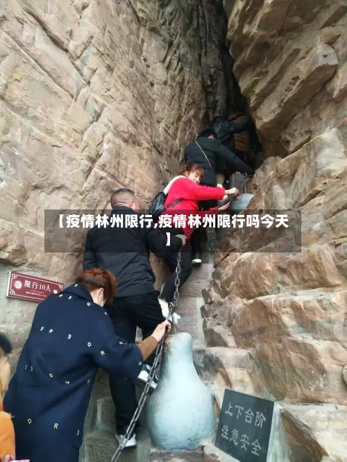 【疫情林州限行,疫情林州限行吗今天】-第3张图片