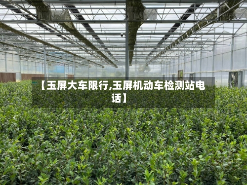 【玉屏大车限行,玉屏机动车检测站电话】