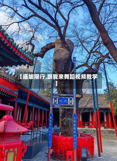 【庙坡限行,跟我来舞蹈视频教学】